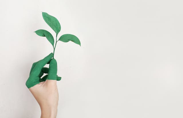 翡翠の効果がすごい？人を選ぶと言われる理由は？
