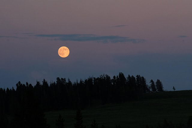 オレンジムーンストーンのスピリチュアルな意味と効果は?何月の誕生石?