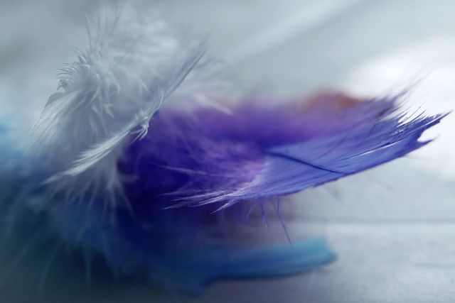 エンジェルフェザーフローライトは感情の浄化に効果ある?選び方と注意点!